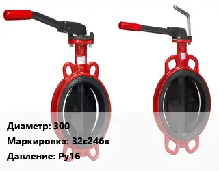 Затвор 300 32с24бк Ру16